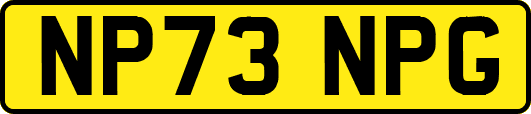 NP73NPG