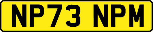 NP73NPM