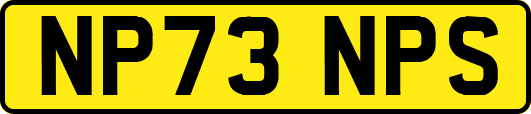 NP73NPS
