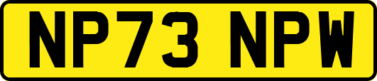 NP73NPW