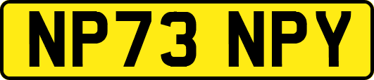 NP73NPY