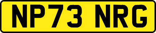 NP73NRG