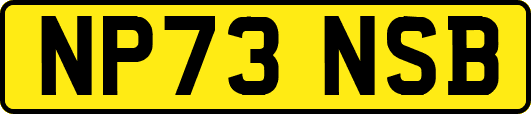 NP73NSB