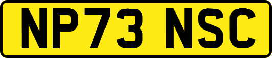 NP73NSC
