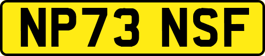 NP73NSF