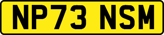 NP73NSM