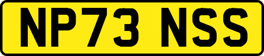 NP73NSS