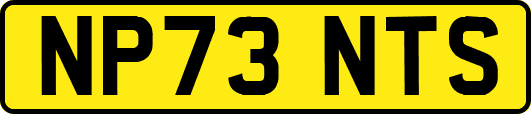 NP73NTS