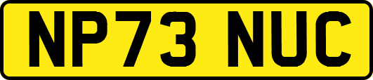 NP73NUC