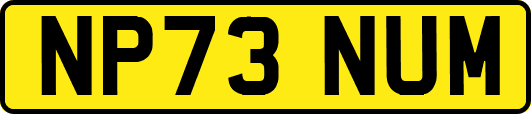 NP73NUM