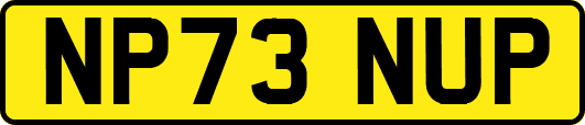 NP73NUP