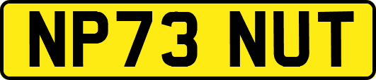NP73NUT