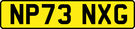 NP73NXG