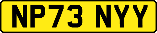 NP73NYY