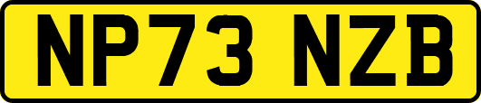 NP73NZB