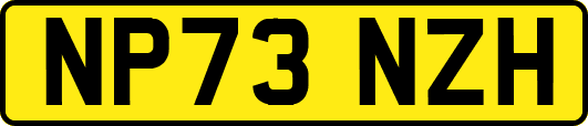 NP73NZH