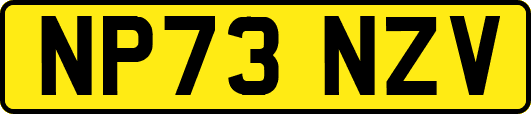 NP73NZV