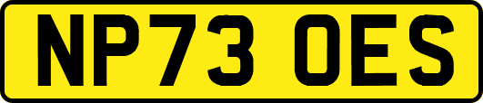 NP73OES