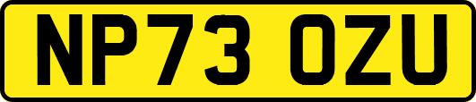 NP73OZU