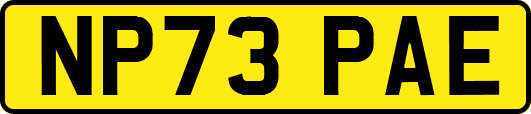 NP73PAE