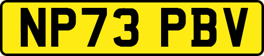 NP73PBV