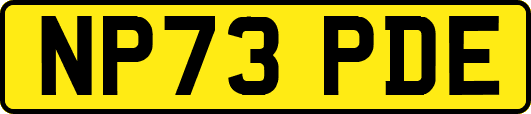 NP73PDE