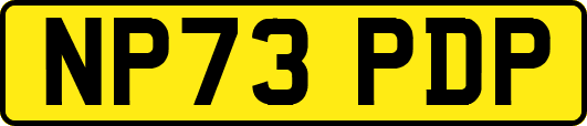 NP73PDP