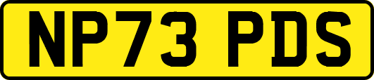 NP73PDS