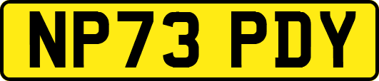 NP73PDY