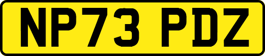 NP73PDZ