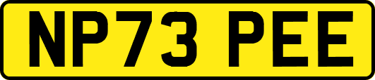 NP73PEE