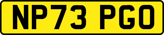 NP73PGO