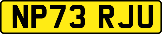 NP73RJU