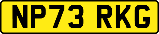 NP73RKG