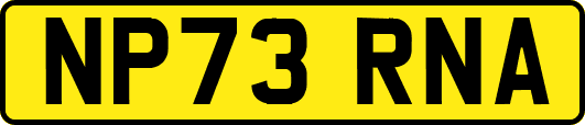 NP73RNA