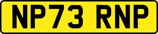 NP73RNP