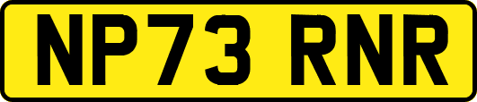 NP73RNR