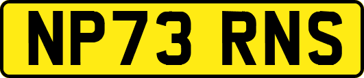 NP73RNS