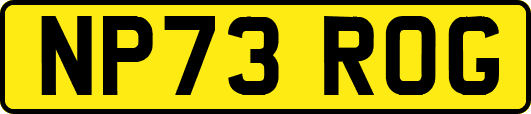 NP73ROG