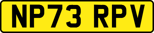 NP73RPV