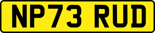 NP73RUD
