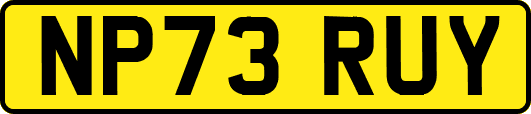 NP73RUY