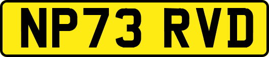 NP73RVD