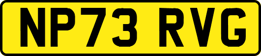 NP73RVG