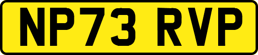 NP73RVP