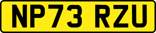 NP73RZU