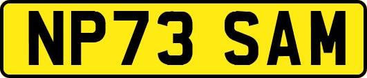 NP73SAM