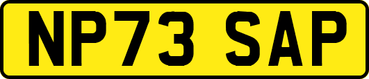 NP73SAP