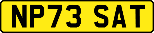 NP73SAT