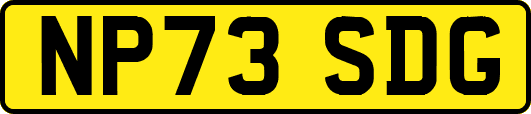 NP73SDG